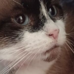 Meet your Posher, Caroline